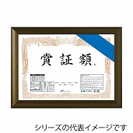 ジャパンアート 賞証額　フラッパ A4判　ブロンズ VP－G24－BN 1枚（ご注文単位1枚）【直送品】