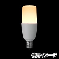 ヤザワコーポレーション T形LED電球 全方向タイプ 40W形相当 E17 電球色 LDT5LGE17 1個（ご注文単位1個）【直送品】