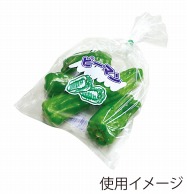 【直送品】 精工 ボードンパック　NEW新鮮パック ピーマン1  100枚/袋（ご注文単位50袋）