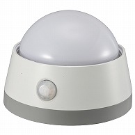 オーム電機 NIT-BLA6JD-WN 06-0129 LEDセンサーライト 明暗＋人感センサー付 白色LED（ご注文単位1袋）【直送品】