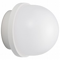 オーム電機 LT-F369KL 06-3907 LED浴室灯 要電気工事 60形相当 電球色（ご注文単位1袋）【直送品】