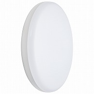 オーム電機 LT-F5415KN 06-3910 LED浴室灯 要電気工事 100形相当 昼白色（ご注文単位1袋）【直送品】
