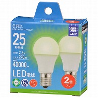 オーム電機 LDA2N-G-E17AG62P 06-5537 LED電球小形E17 25形相当 昼白色 2個入（ご注文単位1袋）【直送品】