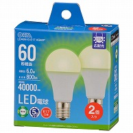 オーム電機 LDA6N-G-E17AG62P 06-5549 LED電球小形E17 60形相当 昼白色 2個入（ご注文単位1袋）【直送品】