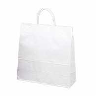 【直送品】 ササガワ 手提げ紙袋 白無地　中　50枚 50－5200 1包（ご注文単位1包）