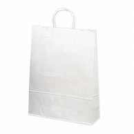 【直送品】 ササガワ 手提げ紙袋 白無地　大　10枚 50－6300 1包（ご注文単位1包）