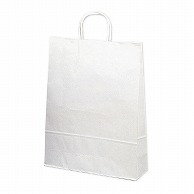 【直送品】 ササガワ 手提げ紙袋 白無地　特大　10枚 50－6400 1包（ご注文単位1包）