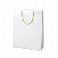 ササガワ 手提げ紙袋 キャリーバッグ　白 50－6633 1枚（ご注文単位5枚）【直送品】