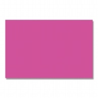 プラチナ万年筆 カラーパネル ACP5-1300 蛍光ピンク 1枚