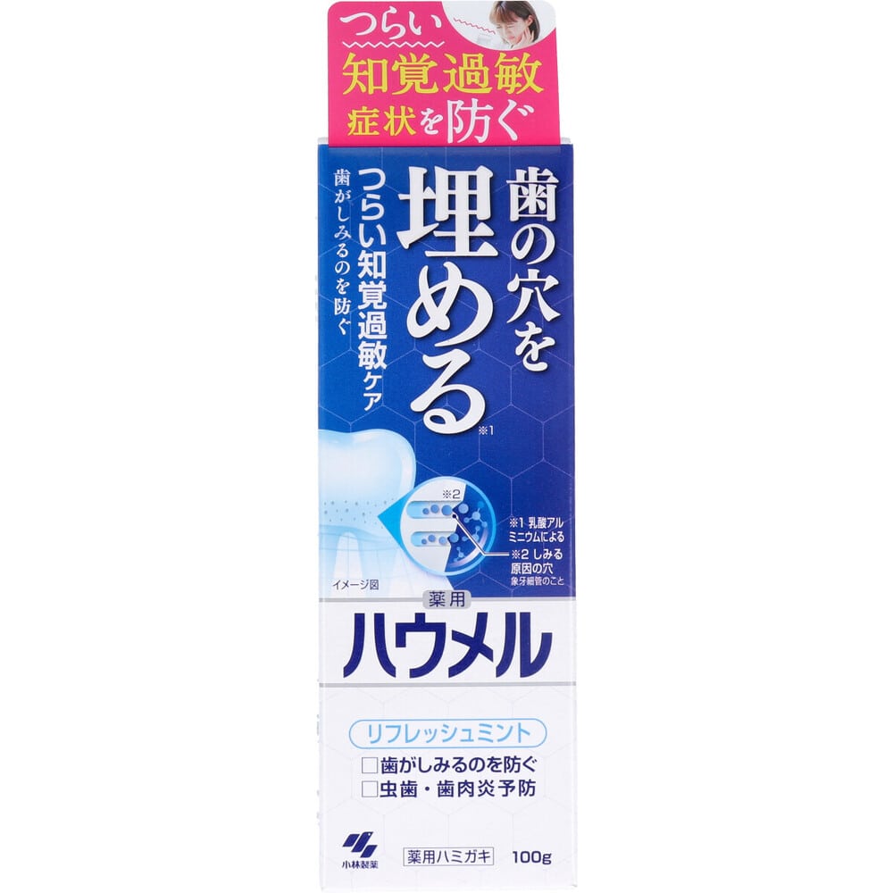 小林製薬　薬用ハミガキ ハウメル フレッシュミント 100g　1個（ご注文単位1個）【直送品】