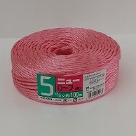 宮島化学工業 PPロープ　ニューロープ 5mm×100m　赤 HR053 1巻（ご注文単位48巻）【直送品】