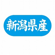 【直送品】 金久 POPシール 新潟県産 G－566 1束（ご注文単位1束）