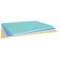 【直送品】 抗菌カラー取り板　TCSK8－6040　ブルー   1個（ご注文単位1個）