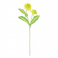 ドガ 菜の花ブッシュ  FLS－0733 1本（ご注文単位1本）【直送品】