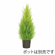 ドガ ゴールドクレストツリー 60cm LET－2052 1本（ご注文単位1本）【直送品】