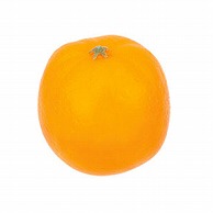 ドガ ディスプレイ　オレンジ  VF－1215 1個（ご注文単位1個）【直送品】