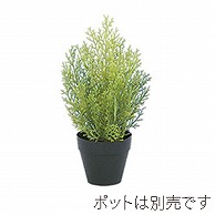 ドガ クレストツリー 30cm　ライトグリーン LET－2070 1本（ご注文単位1本）【直送品】