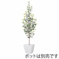 ドガ フィカスツリー 190cm LET－2079－L 1本（ご注文単位1本）【直送品】