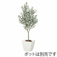 ドガ 南欧オリーブツリー 150cm LET－2089 1本（ご注文単位1本）【直送品】
