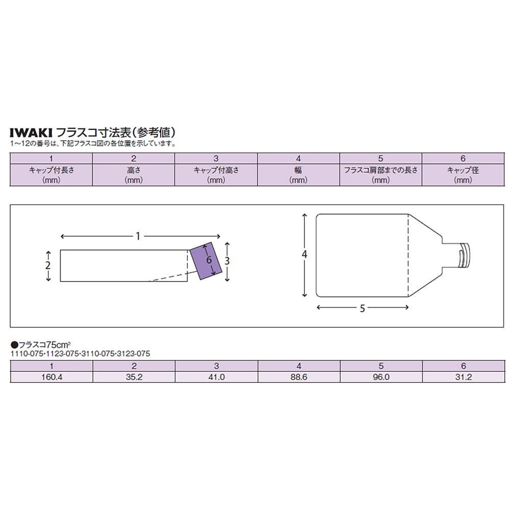 >AGCテクノグラス・IWAKI 組織培養用フラスコ（付着性細胞用） 75cm2 ダブルシールキャップ 100個　3110-075 1箱（ご注文単位1箱）【直送品】