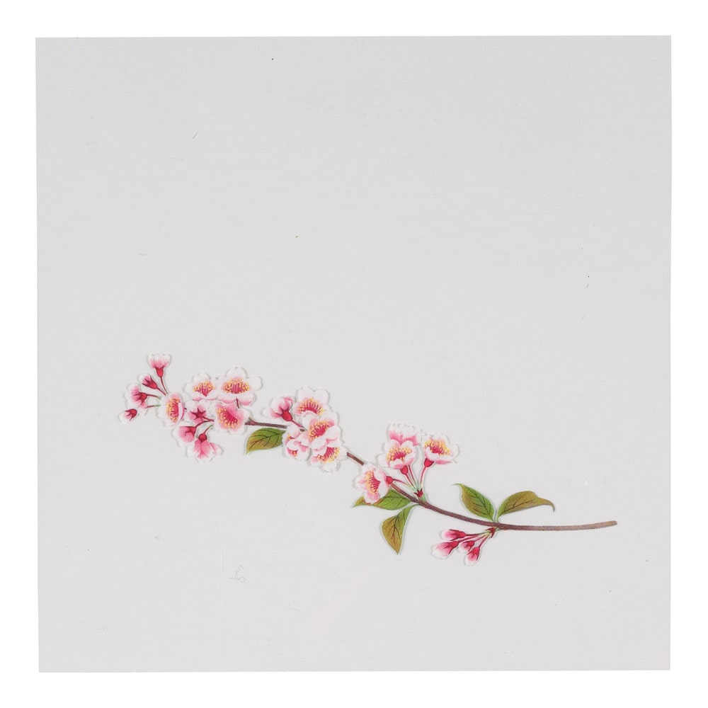 ＯＰクリア四季　桜（２００枚入） ＯＳ－１２－６ 1袋（ご注文単位1袋）【直送品】