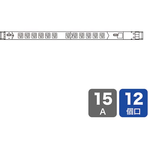 >トラスコ中山 SANWA 19インチサーバーラック用コンセント（15A） 250-1447  (ご注文単位1個) 【直送品】