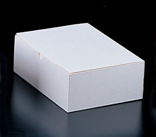 エコ洋生　サービスボックス　＃８ ２０－１５３　５号　１００枚入 1箱（ご注文単位1箱）【直送品】