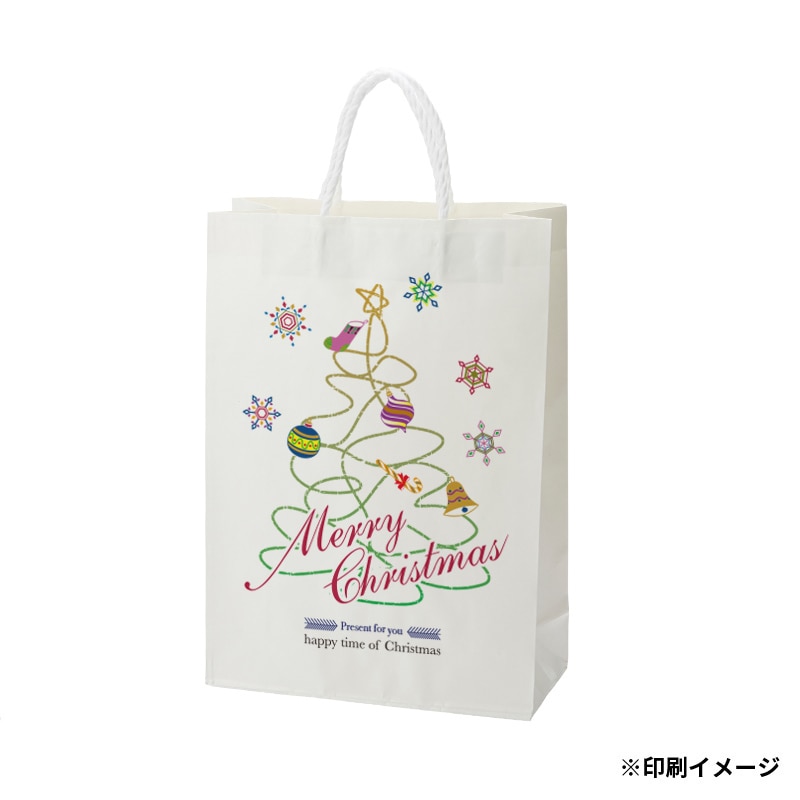 【オリジナル印刷】特注小ロットスムースバッグ　S－100 フルカラー片面印刷 白無地300枚