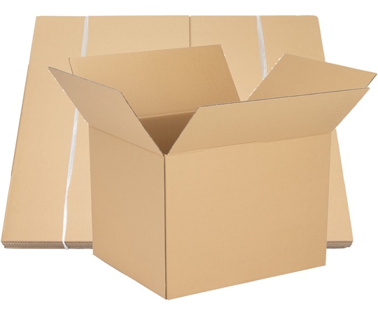 バラモン 1袋（３粒）x 60袋　2箱セット 抗菌タイトランチボックス 2段/600mlクロミ フラワーリース