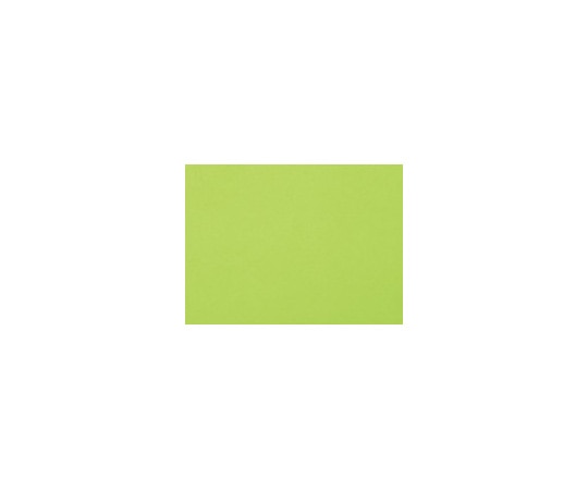 エリエール(大王製紙) 再生色画用紙 4ツ切 10枚 マスカット 1パック(ご注文単位1パック)【直送品】