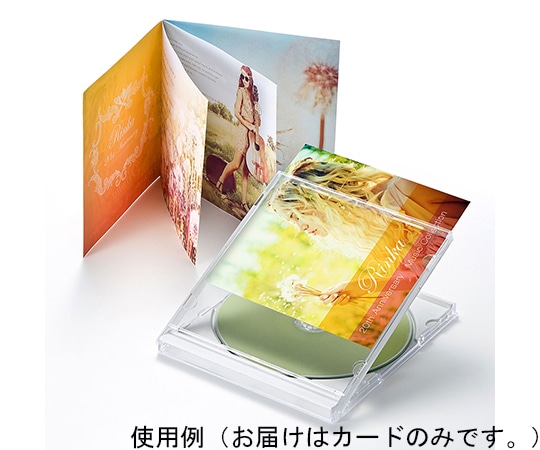 サンワサプライ 2つ折りインデックスカード 薄手 つやなしマット JP-IND8N 1セット(ご注文単位1セット)【直送品】