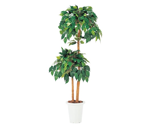 弘益 人工観葉植物 ベンジャミン G-B 1個(ご注文単位1個)【直送品】