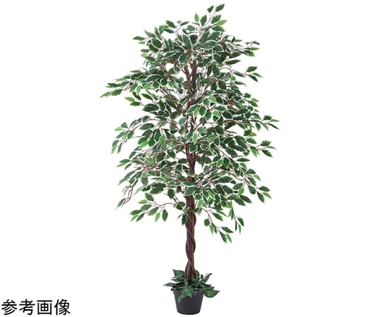 アズワン 人工樹木 H150cm ベンジャミングリーン/ホワイト 61-780-34-2 1台(ご注文単位1台)【直送品】