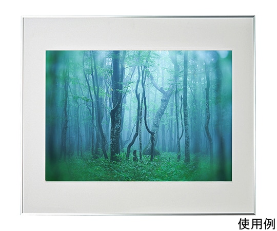 最高峰フォトフレーム 2枚組 全紙 美品 ワイドマット A1000 A3000