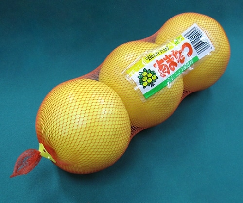 玉ねぎネット　2kg用 1000枚(100枚×10袋) 玉ねぎネット 2kg用 1000枚(100枚×10袋) 農業資材ならプラスワイズ本店