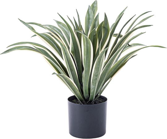 東谷 フェイクグリーン アガベ グリーン GRN-13 1個(ご注文単位1個)【直送品】