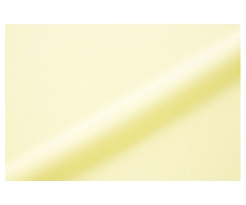 ケアファッション スムース防水シーツ(ダブル) クリーム 145×180cm 39152 1枚(ご注文単位1枚)【直送品】