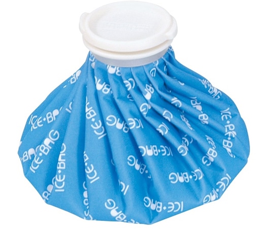 トーエイライト ハンディー氷のう 1000 H7371 1個(ご注文単位1個)【直送品】