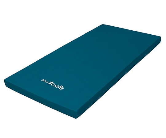 タイカ アルファプラすくっとRe(防水フィルムカバータイプ) 830×1910×80mm TS-SKT-ReW3R 1枚(ご注文単位1枚)【直送品】