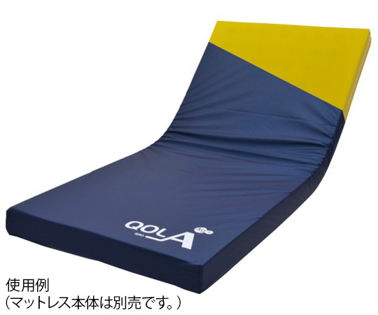 ケープ キュオラ 防水タイプ 830 専用カバー CH-594 1枚(ご注文単位1枚)【直送品】