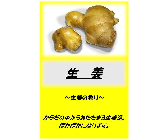 アサヒ商会 アサヒ入浴剤 生姜 10kg 1箱(ご注文単位1箱)【直送品】