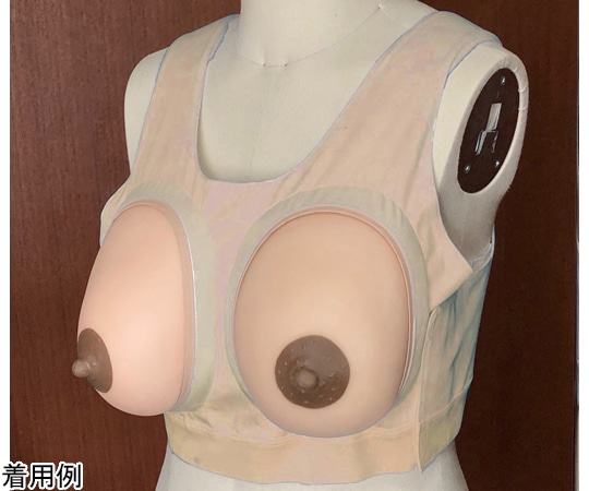 レジーナ 産褥乳房モデル装着型 1組2個入 BMS-12 1組（ご注文単位1組）【直送品】
