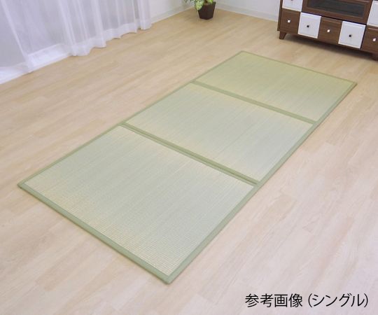 イケヒコ・コーポレーション 軽くてずれない貼るい草マットレスPRO シングル 1360140011201 1枚(ご注文単位1枚)【直送品】