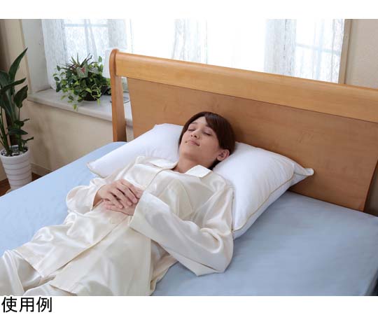 fossflakes フォスフレイクス クラシックピロー 50×70cm FF-5070-GP 1個（ご注文単位1個）【直送品】