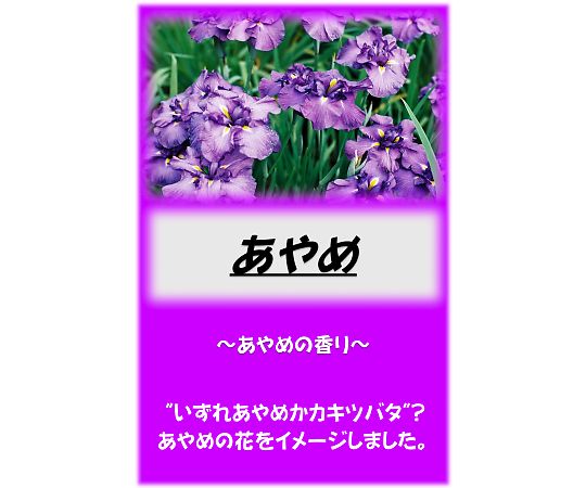 アサヒ商会 アサヒ入浴剤 あやめ 2.5kg 1袋(ご注文単位1袋)【直送品】