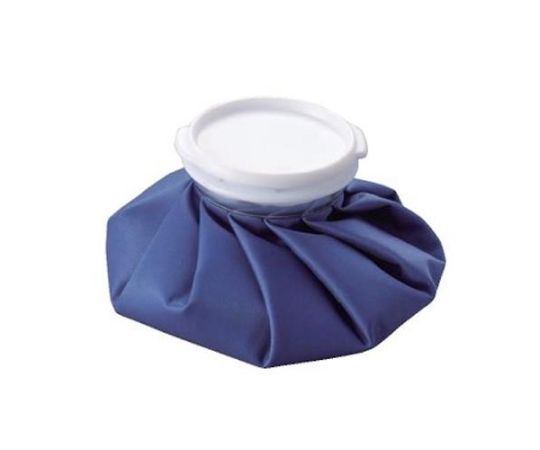 アズワン 400mL アイスバッグ EA917HE-21 1個(ご注文単位1個)【直送品】