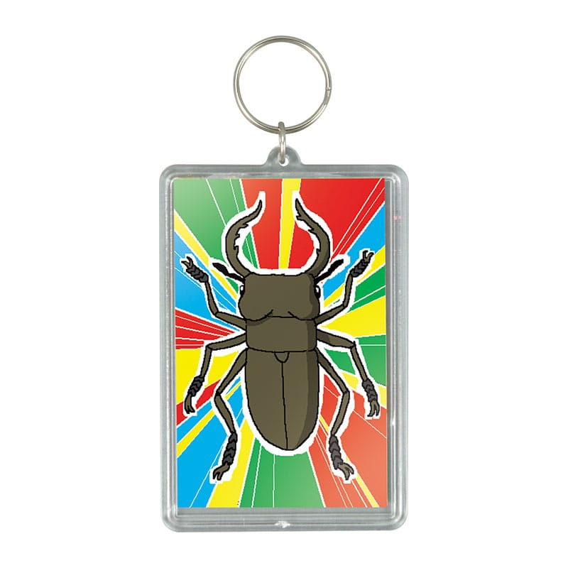 ㈱アーテックワンタッチクリアキーホルダー（プレゼントクリアカード