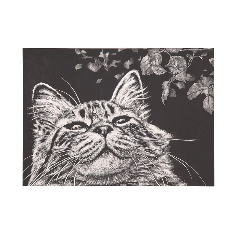 ㈱アーテックスクラッチボード枠なし紙製 1枚(ご注文単位1枚)【直送品】