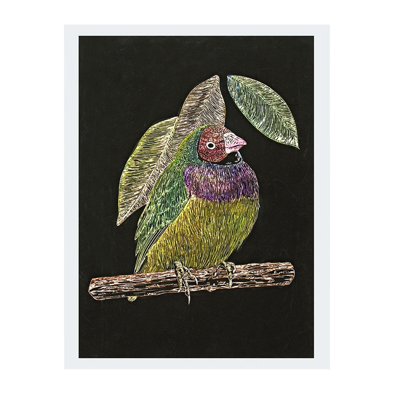 ㈱アーテックスクラッチボードEX スクレーパー 1個(ご注文単位1個)【直送品】