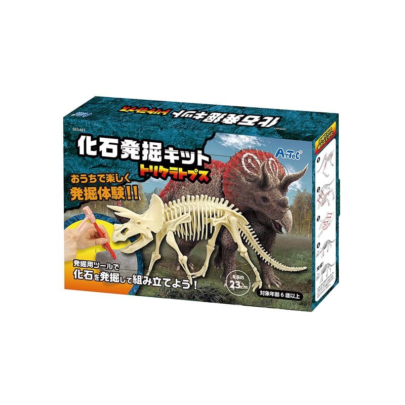 化石　トリケラトプス　恐竜　シャドウボックス　3D 機械絵　スチームパンク Amazon | 正直屋 恐竜発掘骨格 化石発掘キット 化石 発掘